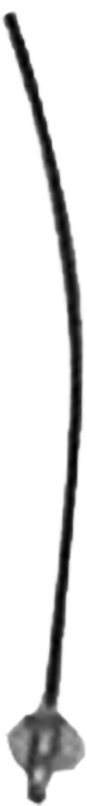 AN-Sflex-trans.png