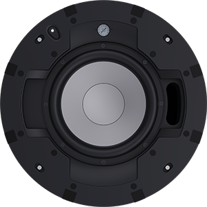 EVID-C8.1S-G2